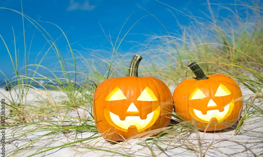 Frightmare by the Sea